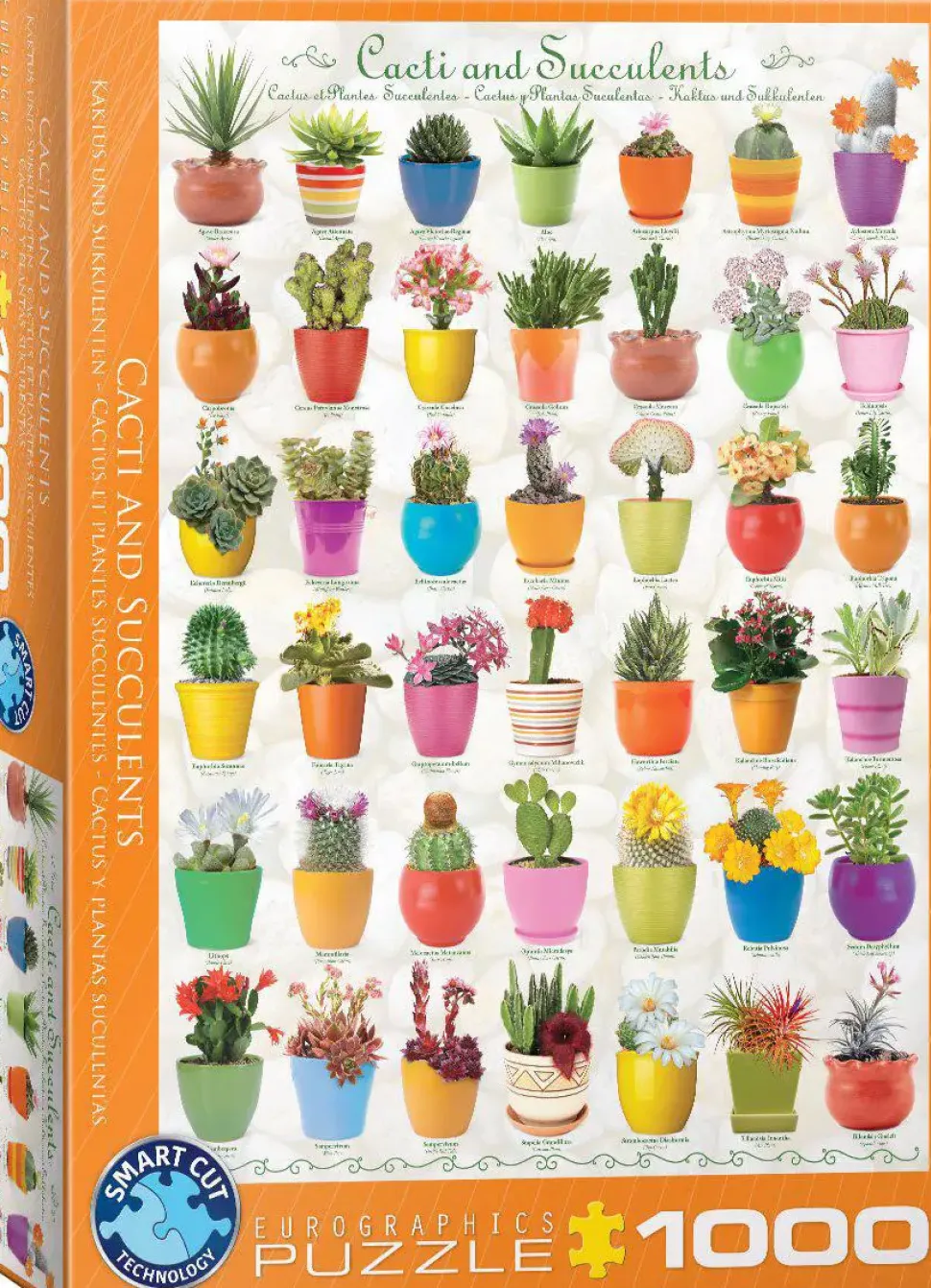 Puzzle Cacto