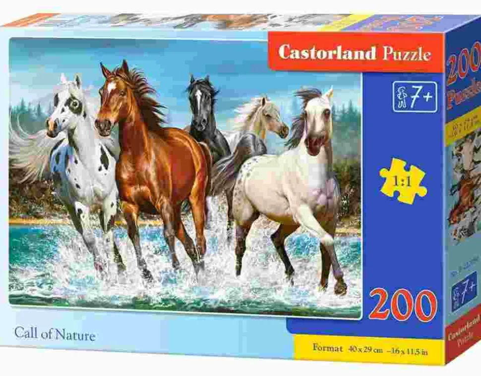 Puzzle Call of Nature