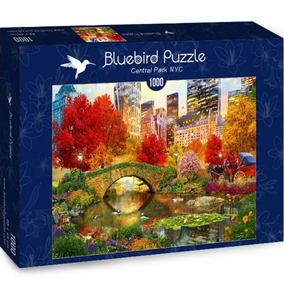 Puzzle Central Park NYC