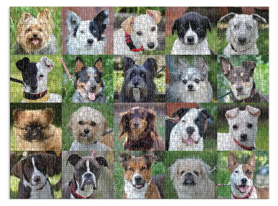 Puzzle Cães de resgate