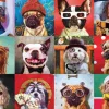 Puzzle Cães engraçados