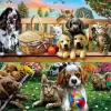 Puzzle Coleção Premium - Meetup no Parque