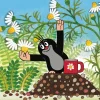 Puzzle Como uma toupeira curou um rato 60