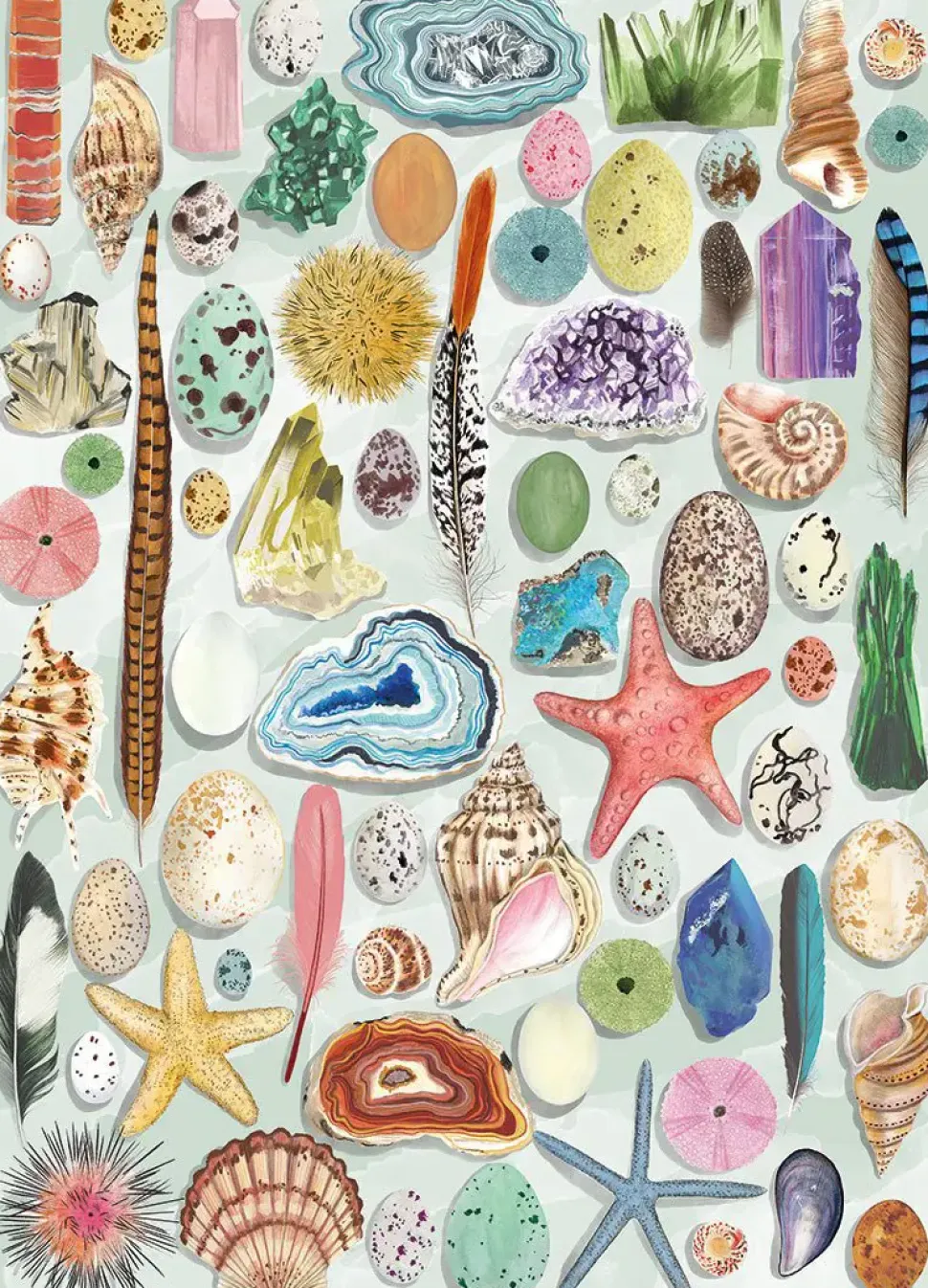 Puzzle Curiosidades naturais