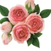Puzzle 2 em 1 Rosé o dia todo
