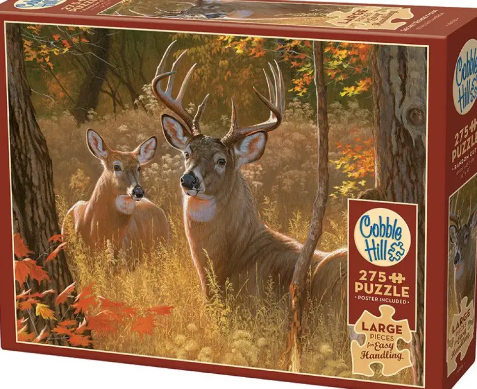 Puzzle Encontro Secreto