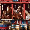 Puzzle Estábulo para cavalos
