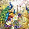 Puzzle Estufa Solar