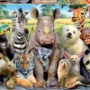 Puzzle Foto da turma