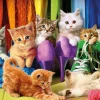 Puzzle Gatinhos coloridos