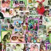 Puzzle Gatos