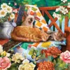 Puzzle Gatos de jardim