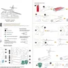Puzzle Lanceiro B-1B