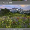 Puzzle Montanhas Tatoosh