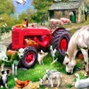 Puzzle Na Fazenda