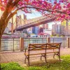 Puzzle Nova York, EUA