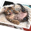 Puzzle O gato engraçado