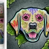 Puzzle Pintura diamante: Labrador 30x30cm 7D