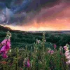 Puzzle Poder da Natureza: Tempestade Mágica