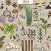 Puzzle Premium Plus Finders Keepers: Especiarias