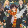 Puzzle Premium Plus: Harry Potter