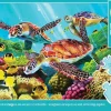 Puzzle Quebra-cabeça de família: corrente de Molokini