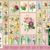 Puzzle Reduto