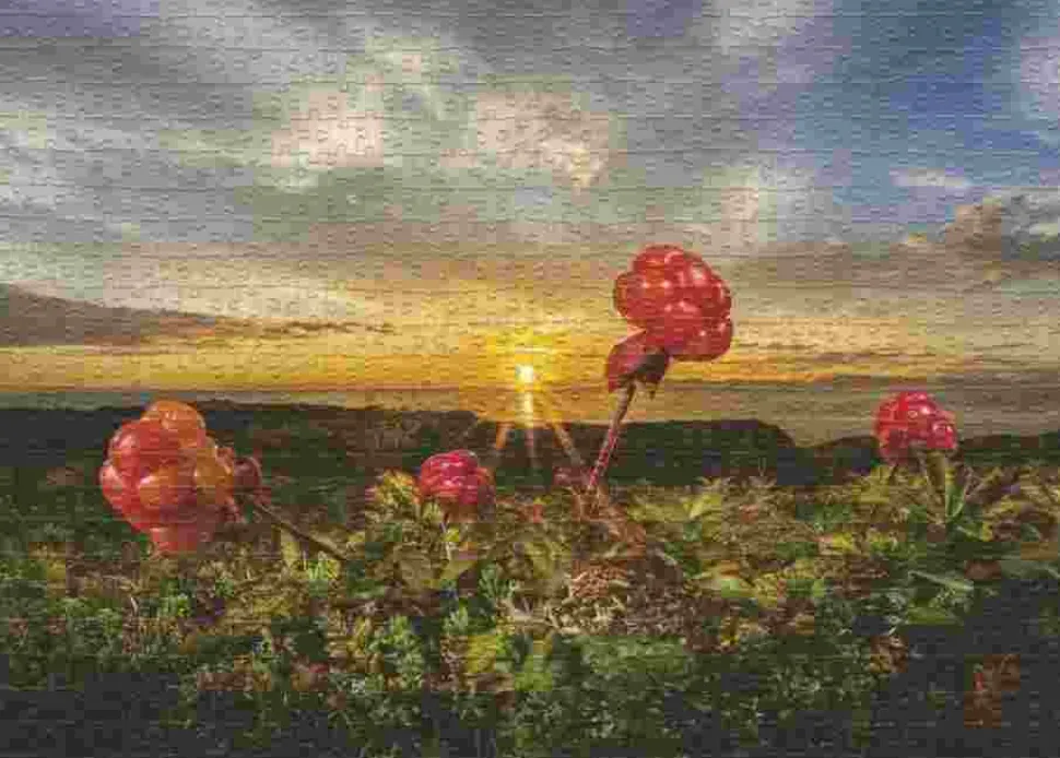 Puzzle Rikardsen: Amoras silvestres