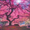 Puzzle Árvore rosa