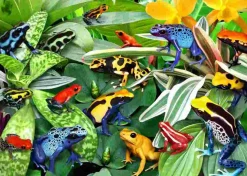 Puzzle Sapos divertidos