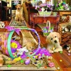 Puzzle Schory: Caos da Páscoa