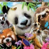 Puzzle Selfie de amigos de olhos negros