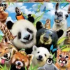 Puzzle Selfie de drama de lama