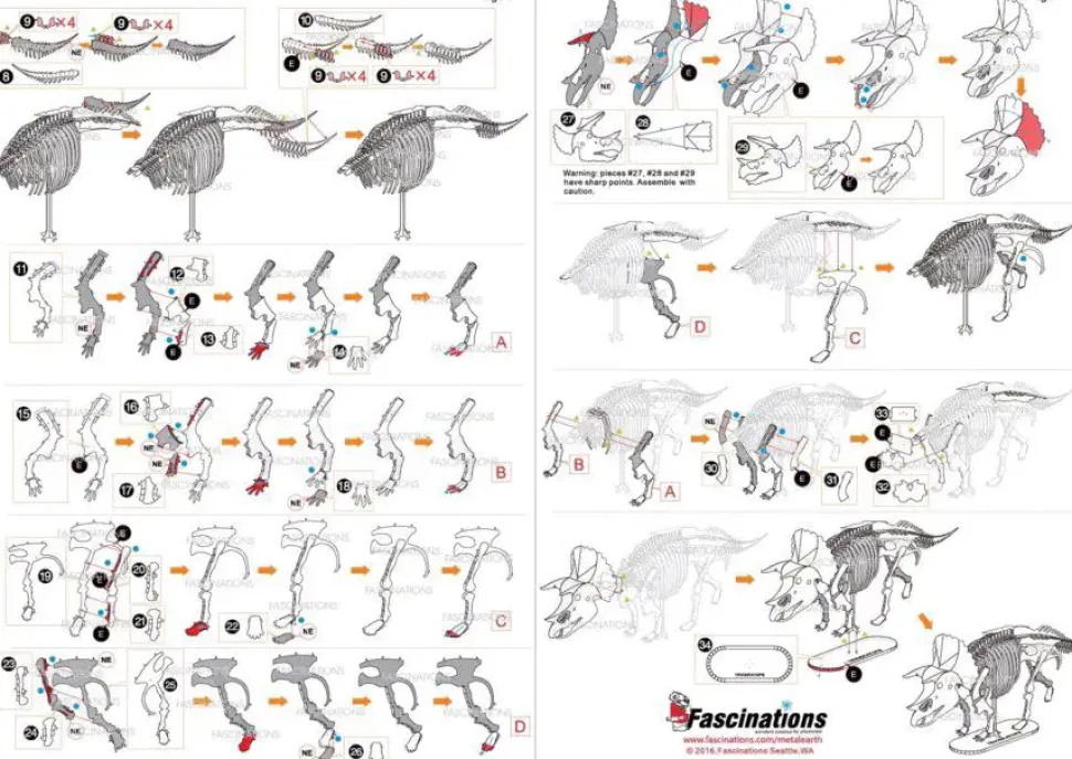 Puzzle Triceratops 3D