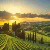 Puzzle Vinhas da Maremma XXL