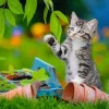 Puzzle 3x49 gatinhos