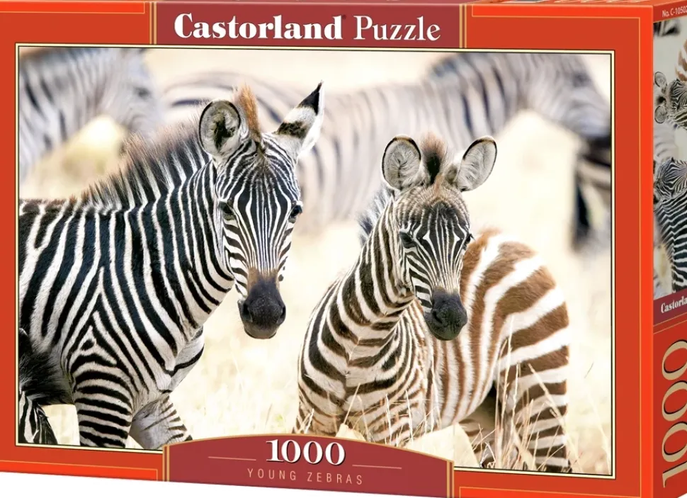 Puzzle Zebras jovens