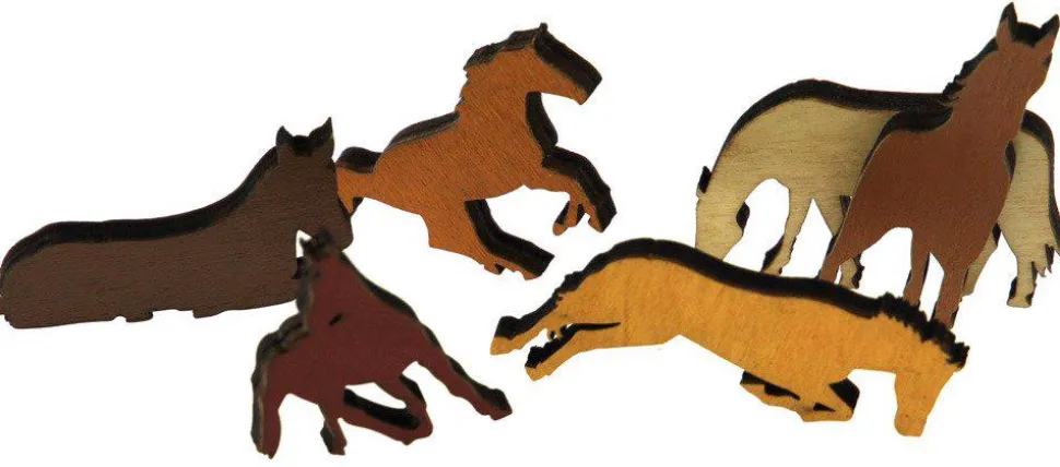 Wild Horses
